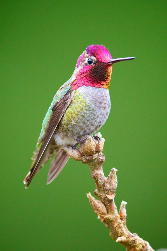 c1676ceb0147cf56775f9973004b5343