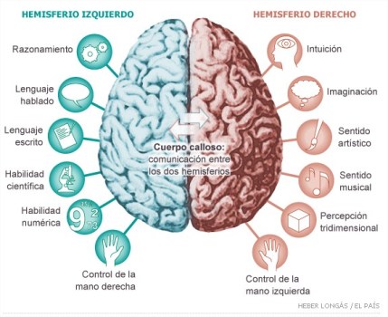 Cerebro_creatividad