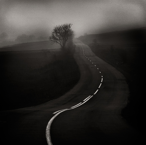 0fdad-bogdan-panait-23