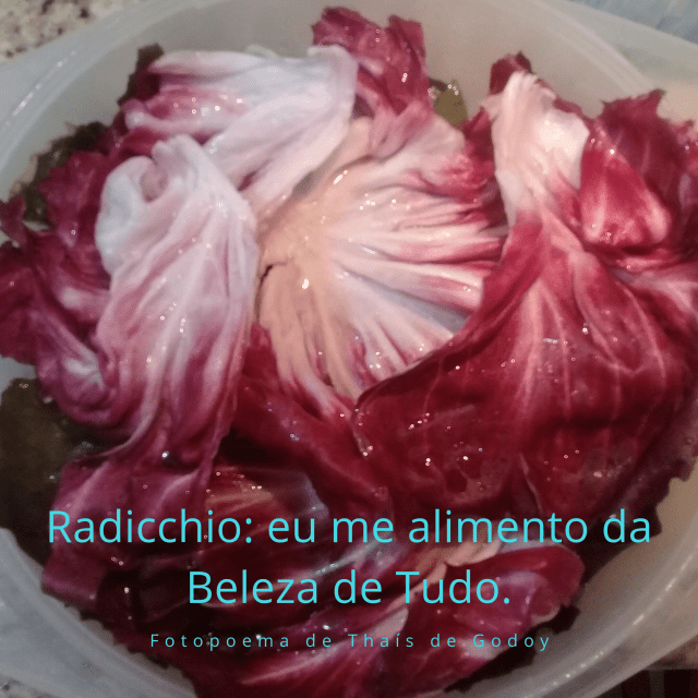 20190811_230634_0000