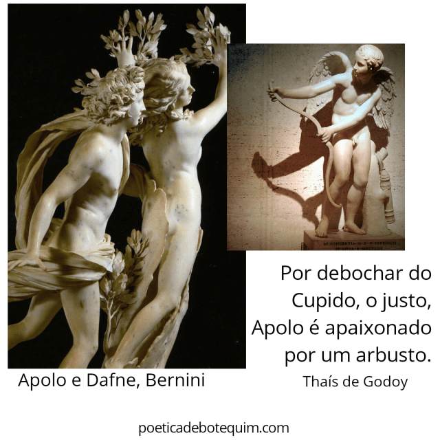 20191205_210603_0000